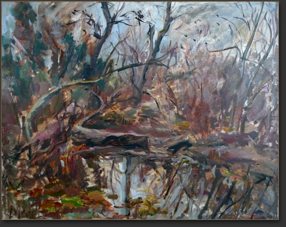Walpack Winter